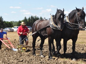 Laura DeKroon (left) was one of more than 50 competitors at the 2013 Perth County Plowing Match held last Saturday, Aug. 24 at the farm of Dale and Coralee Foster.