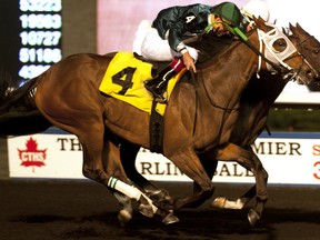 Lexi Lou wins the $200,000 Muskoka Stakes with Gary Boulanger aboard after battling throughout the stretch with 6-5 favourite On Rainbow Bridge during last night's Canadian Millions Sales Stakes extravaganza at Woodbine Racetrack. (Michael Burns)