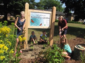 Students from Sarnia Christian School do some planting at the school's newly expanded butterfly garden. The school received a $5000 grant from TD Friends of the Environment to expand the garden with native plants. (LIZ BERNIER, QMI Agency)