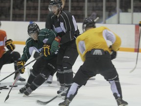 Alex Basso and Nikita Korostelev battle for the puck during practice on Aug. 29. The Sting play London in the first exhibition game of the season on Friday, Aug. 30.
SHAUN BISSON/THE OBSERVER/QMI AGENCY
