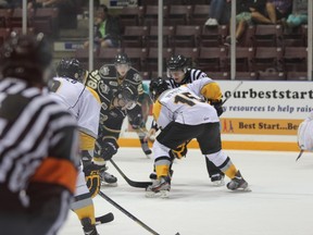 Patrick White of the Sarnia Sting faces off against Christian Dvorak of the London Knights during their pre-season game in Sarnia on Aug. 31.
SHAUN BISSON/THE OBSERVER/QMI AGENCY