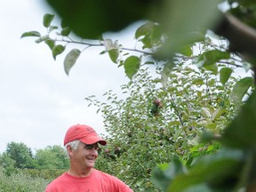 Campbell_s Orchard apples 2013