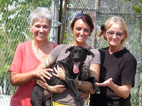 Susan Arends, left, is manager of the Wallaceburg Animal Shelter, holds Phoenix along with the Animal Rescue Fund's Lisa and Mary-Ann Holland. Pets at the shelter, such as Phoenix, benefit from the Animal Rescue Fund (ARF). Fundraising for ARF is ongoing.