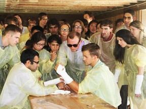 Forty-eight Western medical students visited Seaforth’s Gateway Rural Health Research Institute’s offices last Thursday to learn about rural medicine. While they were here, they got an opportunity to apply casts to each other and then participate in a video where they did the Harlem Shake in their medical gowns.