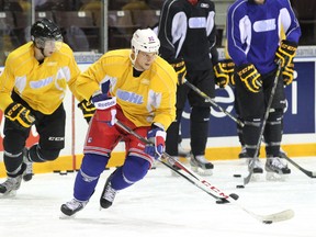 Sarnia Sting head coach Trevor Letowski is looking for his players to make a statement with their play this weekend against the Windsor Spitfires as exhibition play continues. Pictured is New York Rangers forward Michael Haley, who was skating the with team during practice on Thursday, Sept. 6. (SHAUN BISSON, The Observer)