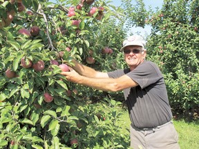 Ernie Muzylowsky, who owns Apple Land Station with his wife Sharon, shows off the bumper crop of apples. The popular family destination is hoping for huge crowds this fall.