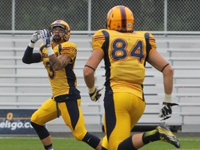 Wide-open Queen's University receiver Justin Chapdelaine makes a touchdown catch in the first quarter of a 49-34 win over Windsor at Richardson Stadium on Sept. 7. (Elliot Ferguson/The Whig-Standard)