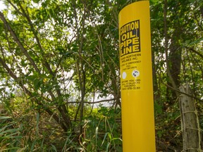 A series of small yellow markers are all that can be found to identify a Trans-Northern pipeline constructed in 1952 which travels alongside a portion of Enbridge's Line 9 in the north part of Kingston. 
Sam Koebrich for The Whig-Standard