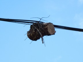 A log stuck in Hydro wires doesn’t seem particularly safe, says vFort Garry resident Todd Sigurdson. (HANDOUT/Todd Sigurdson)