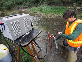 Jamie Storozuk, DFO Lampricide Application Coordinator checks the readings on his equipment Friday morning in Spittler Creek, a tributary of the Big Otter. Jeff Tribe/Tillsonburg News