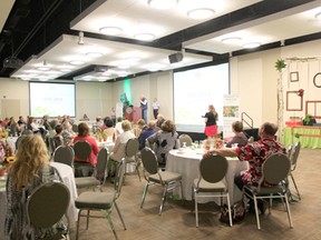 Drayton Valley beat out two other communities to host the 2013 Communities in Bloom (CiB) provincial awards banquet. On Sept. 14 communities from across Alberta gathered at the MacKenzie Conference Centre to recognize the hard work of everyone involved with CiB.