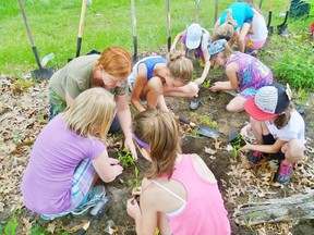 Kim Gledhill, owner of the outdoor education program Nature's Way, leads a group of students in planting native flowers in Canatara Park in June. The Sarnia business is now in its second year of operation.
SUBMITTED PHOTO