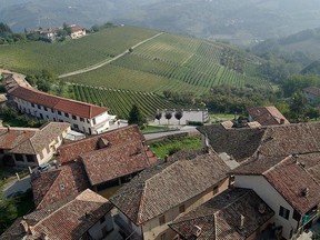 Views from castle towers atop the Langhe region’s rolling hills are of terracotta rooftops and slopes striped with locally favoured niebolo, barbaresco and barolo vines. PETER NEVILLE-HADLEY/HORIZON WRITERS' GROUP