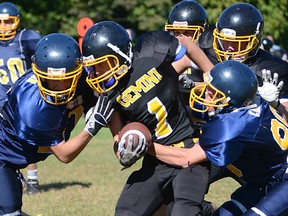 Shaine Jansen, Gemini football.