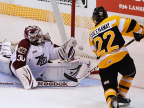 Peterborough Petes goalie Andrew D’Agostini reacts late on a goal scored by Kingston Frontenacs’ Darcy Greenaway during second-period Ontario Hockey League action in Peterborough Thursday night. Greenaway scored three goals in the Frontenacs’ 11-4 season-opening victory. (Clifford Skarstedt/QMI Agency)