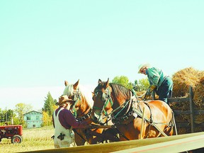 Live demos of traditional methods are a key part of the annual Harvest Festival. - File Photo