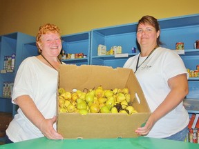 Lynn LeFaive, left, volunteer coordinator with the Inn of the Good Shepherd, and Judy L'Heureux, mobile market coordinator, show the remaining half-box of fresh pears after a group of Inn volunteers picked six boxes as part of a fruit share group that could be coming to fruition in the area. HEATHER YOUNG/ SARNIA THIS WEEK/ QMI AGENCY