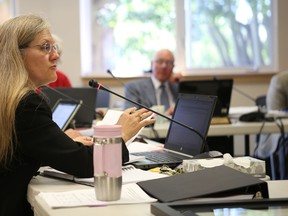 Frontenac County Chief Administrative Officer Elizabeth Savill addresses county councillors about two recent research papers about the financial challenges facing municipalities in eastern Ontario. (Elliot Ferguson The Whig-Standard)
