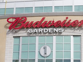 Budweiser Gardens. (CRAIG GLOVER, The London Free Press)