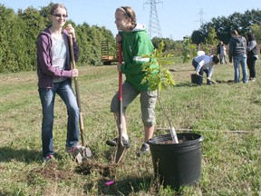 Meghan Domony, left, and Grace Dyck, both 15-year-old students at Chatham-Kent Secondary School, dig a hole to plant a pin oak at the municipal yard waste depot on Creek Road.