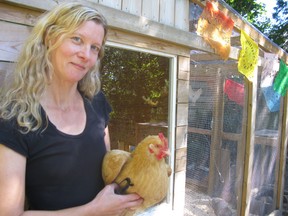 Marlene Kraml holds her hen Orla, a Buff Orpington. Kraml is one of a small group of Kingston residents who have set up a backyard chicken coop.
Paul Schliesmann/Whig-Standard/QMI Agency