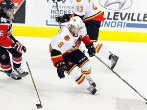 Belleville Bulls' right-winger Aaron Berisha (8) controls the puck in the first period of OHL action against Niagara IceDogs at Yardmen Arena in Belleville, Ont. Saturday, Sept. 28, 2013.  JEROME LESSARD/The Intelligencer/QMI Agency