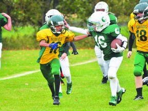 Action from the Portage Pitbulls/North Winnipeg Nomads atom game Sept. 29. (Kevin Hirschfield/THE GRAPHIC/QMI AGENCY)