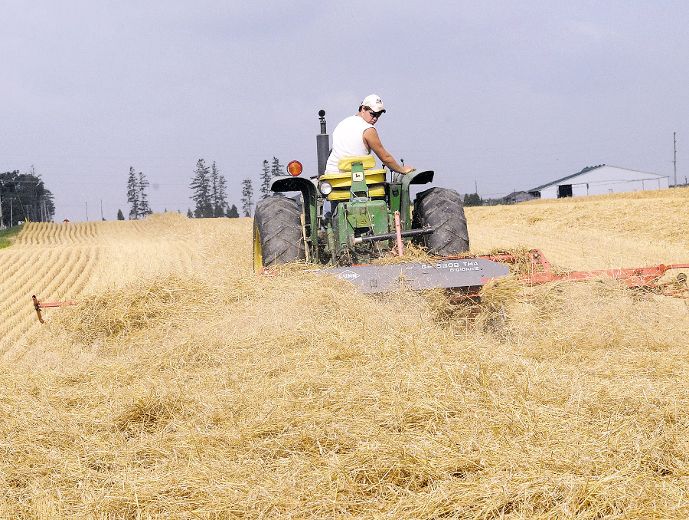 Elgin could soon bread basket of Southwestern Ontario as a major food processor St