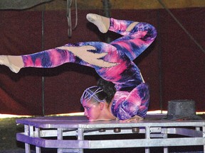 This contortionist was among many acts to entertain a large audience at the Family Fun Circus on Sept. 28. A big top tent was set up near the Vulcan Rodeo Grounds, and before the first show could get started, additional bleachers were installed to accommodate more people. About 400 people attended the two shows, the majority of whom came to the first.