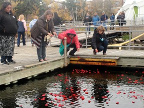 Participants drop rose pedals into the waters of Lake of the Woods as a symbol of remembrance for the missing and murdered aboriginal women.
