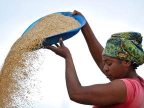 A woman works in a rice mill in Aliade, Nigeria
REUTERS/QMI Agency