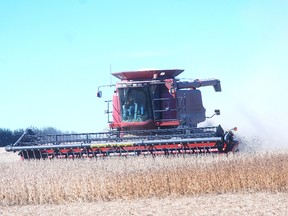 Stephen Jones operates a combine harvesting soybeans on Kate Fournie's farm, just west of Shedden Saturday. Weather conditions were ideal for the work.