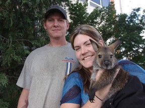 Walter, the only known wallaby in Oxford County, with owners Charmaine Booth and Dean Scott. HEATHER RIVERS/WOODSTOCK SENTINEL-REVIEW