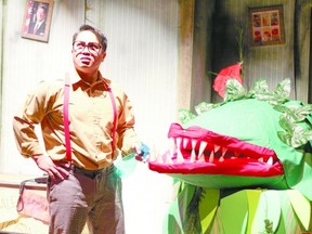 Phil Cal stars as Seymour Krelborn in Iglesia Productions? Little Shop of Horrors on at the Grand Theatre?s McManus Studio until Oct. 26. (QMI Agency)