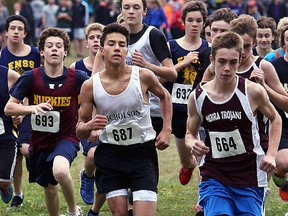 Nate St. Romain (687) of NCC and the rest of the midget boys field compete during the Bay of Quinte cross-country championships, Wednesday at Goodrich Loomis Conservation Area. (Tim Meeks/The Intelligencer)