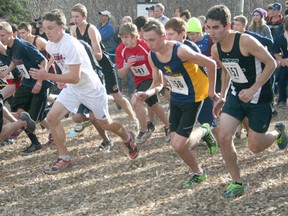 Frank Maddock High School hosted the ASAA Cross Country Provincial Championships on Oct. 19. More than 700 athletes competed, including eight from the host team. Royden Radowits (bib number 156) clinched silver in his division.