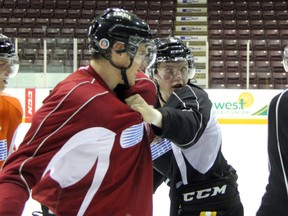 Sarnia Sting veterans Josh Chapman and Alexandre Renaud give rookies Noah Bushnell, Connor Schlichting, and Zach Core fighting lessons after their practice on Tuesday, Oct. 22. The Sting travel to the Soo on Wednesday night for their first match up of the season against the Greyhounds. SHAUN BISSON/THE OBSERVER/QMI AGENCY