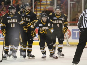 Members of the Sarnia Sting celebrate Bryan Moore's first-period goal against the Soo Greyhounds Wednesday, Oct. 23, 2013 in Sault Ste. Marie, Ont. Despite jumping out to a 3-1 lead in the second period, the Sting fell to the Greyhounds 8-3. JEFFREY OUGLER/SAULT STAR/QMI AGENCY
