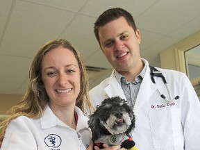 Veterinarians Drs. Joelle Ouellet and Daniel Caudle from Princess Animal Hospital, holding their patient Ella, are running a pet first aid course for the Kingston Humane Society. (Michael Lea The Whig-Standard)