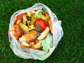 The Sun's Sue Sherring asks, if allowing residents to use plastic bag liners in their green bins would mean that more people use the bins, isn't it at least worth considering? FOTOLIA IMAGE