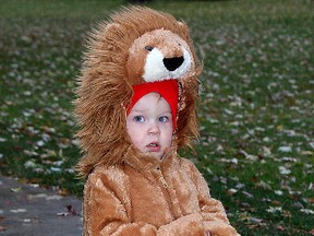 Brekin Woods, 19 months, dresses up as a lion as about 200 children and parents came out to McBurney Park on Thursday afternoon in Kingston to take part in the annual Skeleton Park Halloween Parade. A variety of goblins, ghosts, zombies, princesses and animals showed up in costume to take part before hitting the streets for trick or treating. The parade was led by local musician Spencer Evans.  
IAN MACALPINE/KINGSTON WHIG-STANDARD/QMI AGENCY