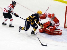 Conner Lukan, who played for the PAC Midget U15 Saints last season and is now suiting up with the St. Albert midget Triple A Raiders, chases after a rebound off the pads of Team Canada goalie Charline Labonte during first period action in their game. While all of St. Albert’s goals came from graduates of the PAC program and tri-area residents, Team Canada ended up with a 4-3 shootout win. - Gord Montgomery, Reporter/Examiner