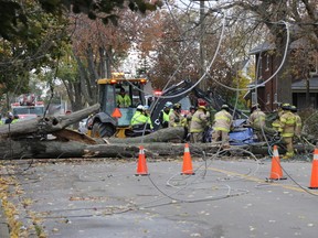 A large tree fell onto a car on Fielden Ave. in Port Colborne around 11 a.m. Friday morning. Sarah Ferguson, Tribune Staff