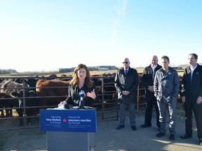 Edmonton - Spruce Grove MP Rona Ambrose speaks to the media at Lewis Farms near Spruce Grove following a roundtable discussion with stakeholders at Sandy View Farms in regards to the CETA. - Thomas Miller, Reporter/Examiner