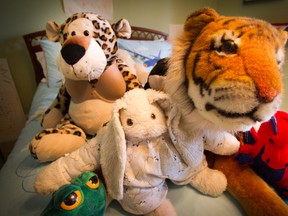 The stuffy 'family' recently grew by one leopard.
