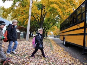 Five-year-old Lulu Banninga  walks to the bus with brothers Brett (left) and Cole behind her. The bus now drives right up beside their driveway, after Lulu was struck by an oncoming car on Oct. 17. The bus had its stop sign extended and lights flashing as Lulu crossed the street. She was knocked unconscious and continues to suffer from concussion-like symptoms. (MELANIE ANDERSON, The Observer)