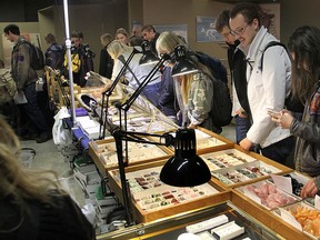 Queen's University students check out the gems, minerals and fossils on display during a sale in the geology museum in Miller Hall that continues through Friday.
Michael Lea The Whig-Standard