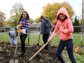 Dianna Bressette (left) and Chloe Taylor dig trenches in their classes new vegetable garden. MELANIE ANDERSON/THE OBSERVER/QMI AGENCY