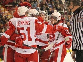 The Sault Ste. Marie Greyhounds are one of the OHL's best teams so far this season. They've dominated to the point where they are one of Canada's best teams. Observer file photo