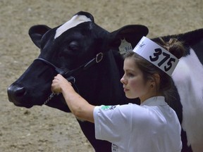 Ashley Hall, of Mitchell, is pictured at the Royal Winter Fair where she placed second in senior showmanship. SUBMITTED